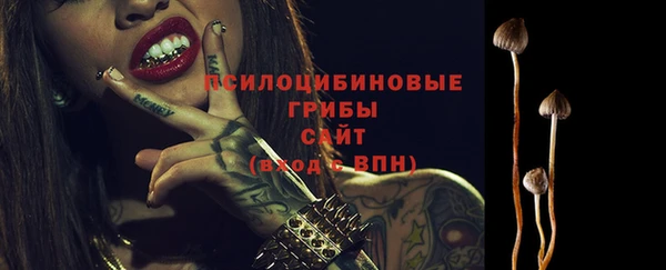 винт Магас