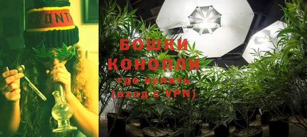 винт Магас
