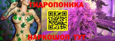 ГАЛЛЮЦИНОГЕННЫЕ ГРИБЫ Абинск