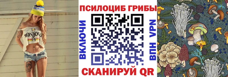 цены наркотик блэк спрут маркетплейс Псилоцибиновые грибы Cubensis Усть-Кут