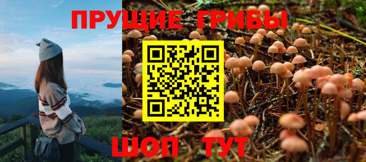 Галлюциногенные грибы Psilocybe Усть-Кут