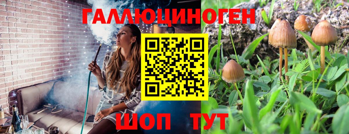 Псилоцибиновые грибы Cubensis  Вход с VPN  Усть-Кут 