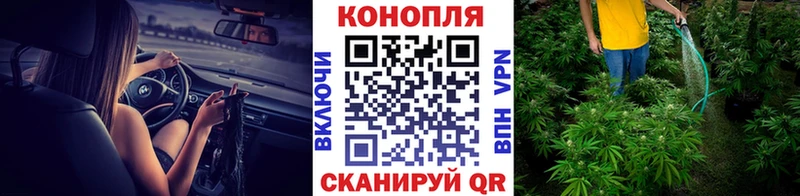 Шишки марихуана планчик  нарко площадка клад  Усть-Кут 